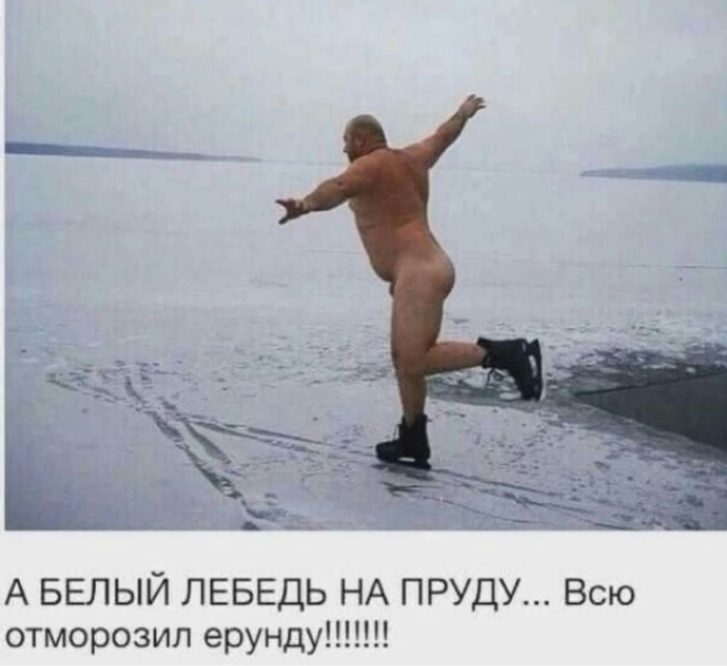 А БЕЛЫЙ ЛЕБЕДЬ НА пруду__ в отморозип ерундуцпщ