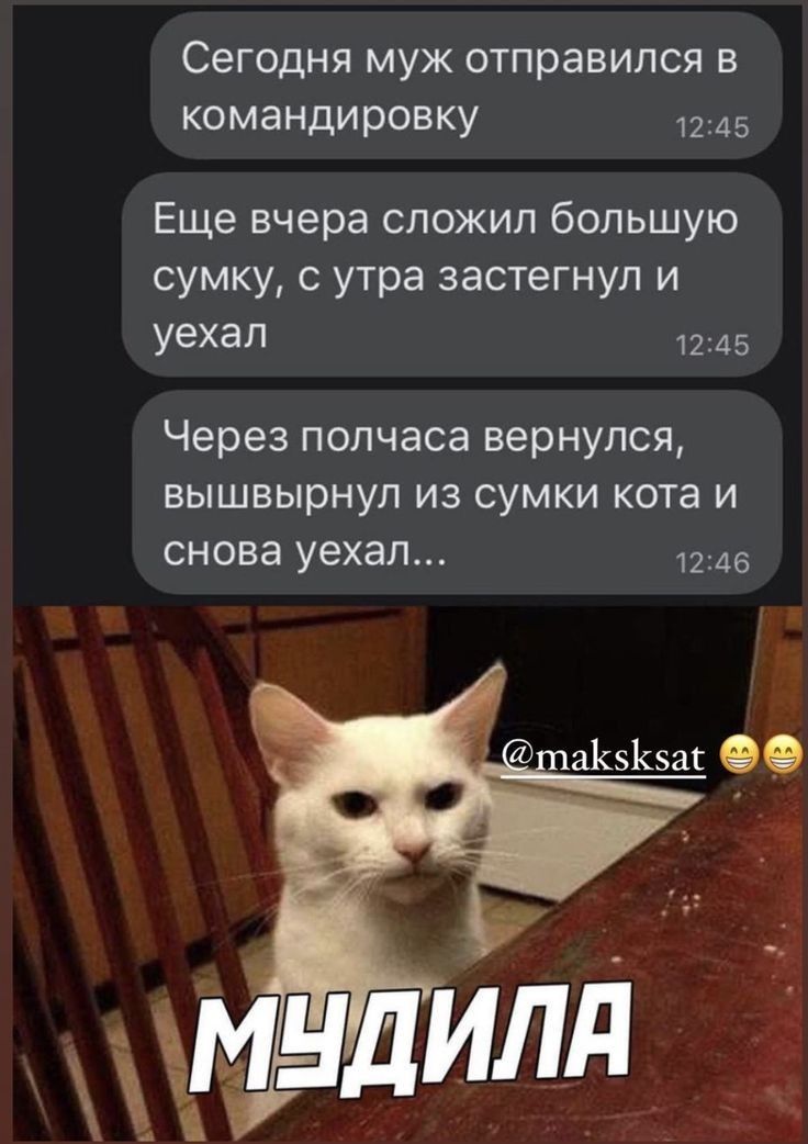 Сегодня муж отправился в командировку 1245 Еще вчера сложил большую сумку с утра эастегнул и Уехаг 1245 Через полчаса вернулся вышвырнуп из сумки кота и снова уехал 1145