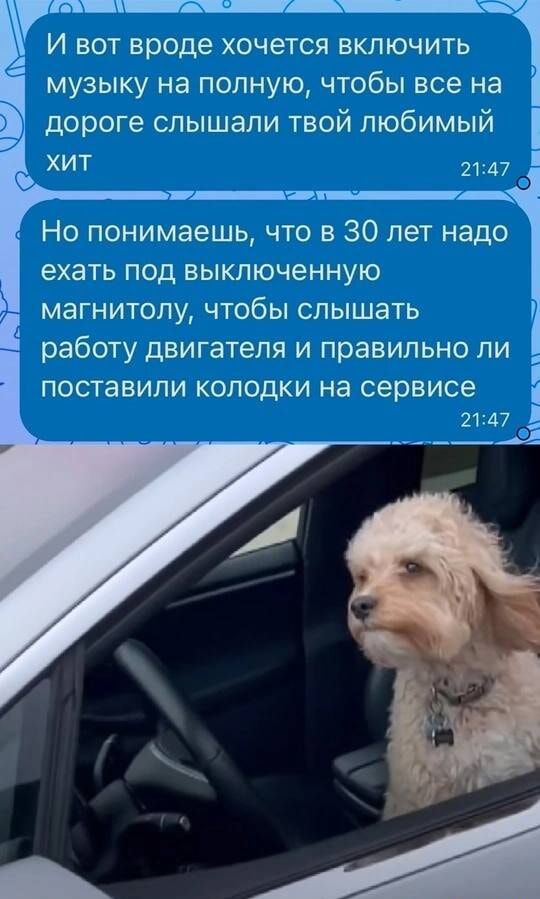 И вот вроде хочется включить музыку на полную, чтобы все на дороге слышали твой любимый хит
Но понимаешь, что в 30 лет надо ехать под выключенную магнитолу, чтобы слышать работу двигателя и правильно ли поставили колодки на сервисе