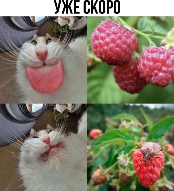УЖЕ СКОРО