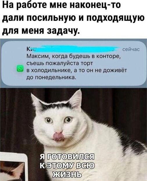 На работе мне наконец-то дали посильную и подходящую для меня задачу.

К:
Максим, когда будешь в офисе, съешь пожалуйста торт в холодильнике, а то он не доживёт до понедельника.

Я готовился к этому всю жизнь.