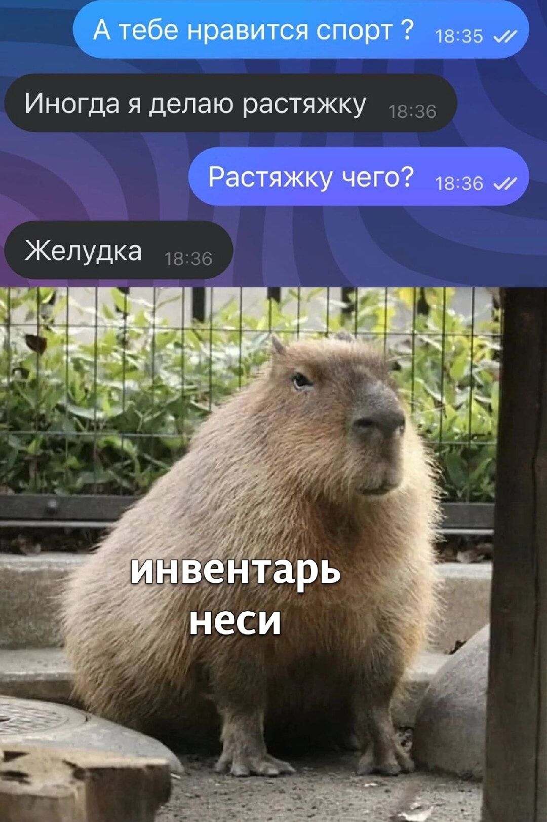 А тебе нравится спорт ?
Иногда я делаю растяжку
Растяжку чего?
Желудка

инвентарь неси