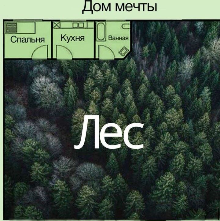 Дом мечты
Спальня
Кухня
Ванная
Лес