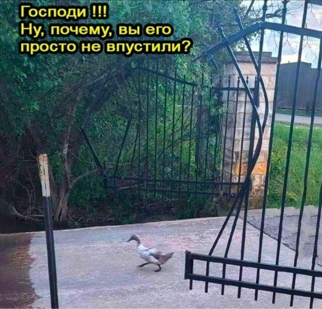 Господи !!!
Ну, почему, вы его просто не впустили?