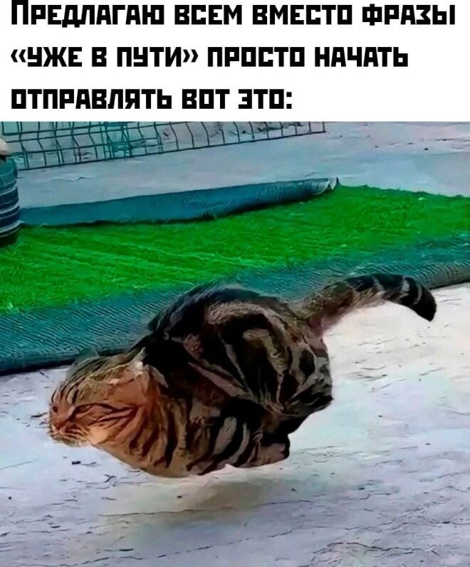 Предлагаю всем вместо фразы «уже в пути» просто начать отправлять вот это: