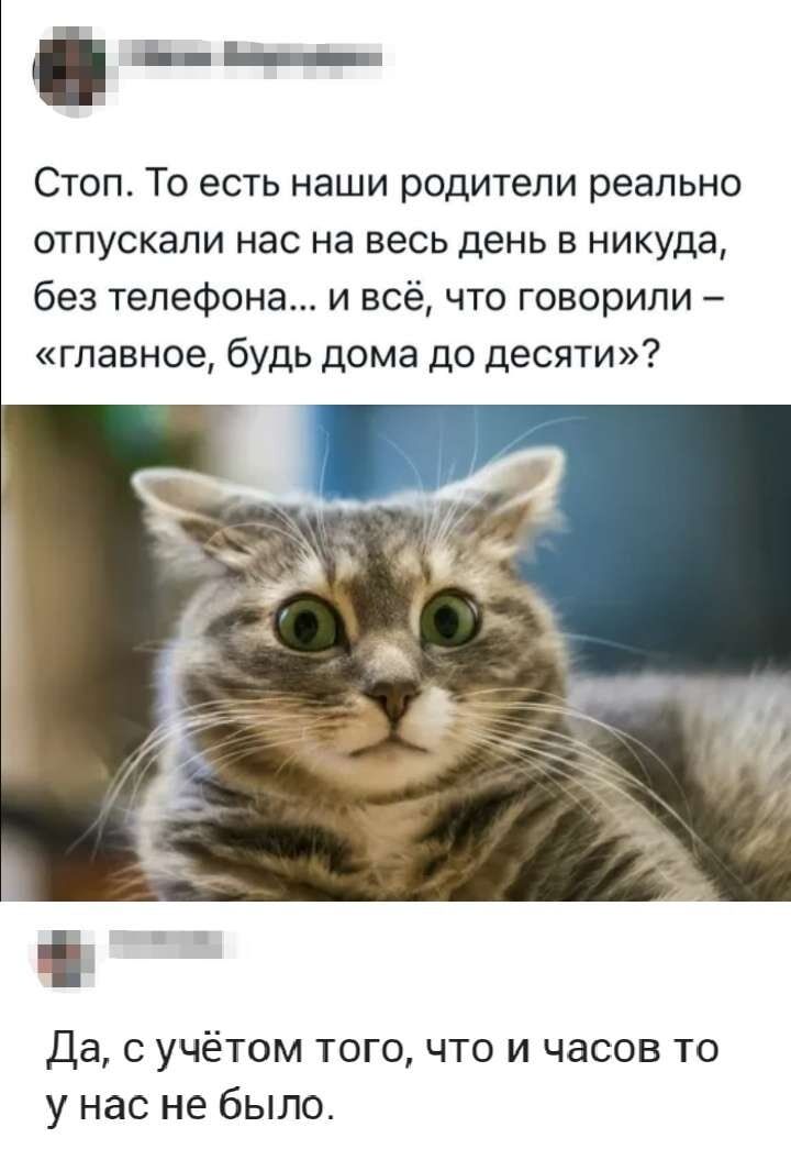 Стоп. То есть наши родители реально отпускали нас на весь день в никуда, без телефона... и всё, что говорили – «главное, будь дома до десяти»? Да, с учётом того, что часов то у нас не было.