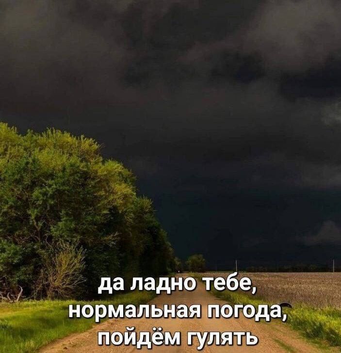 да ладно тебе, нормальная погода, пойдем гулять