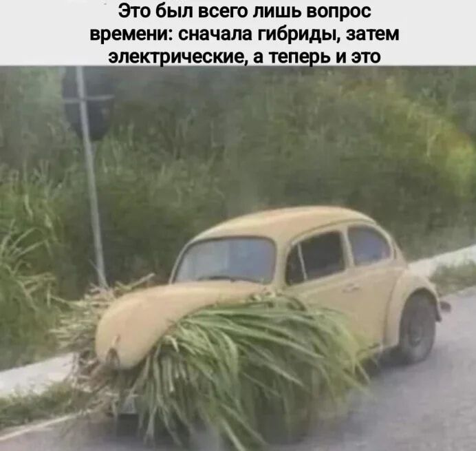 Это был всего лишь вопрос времени: сначала гибриды, затем электрические, а теперь и это