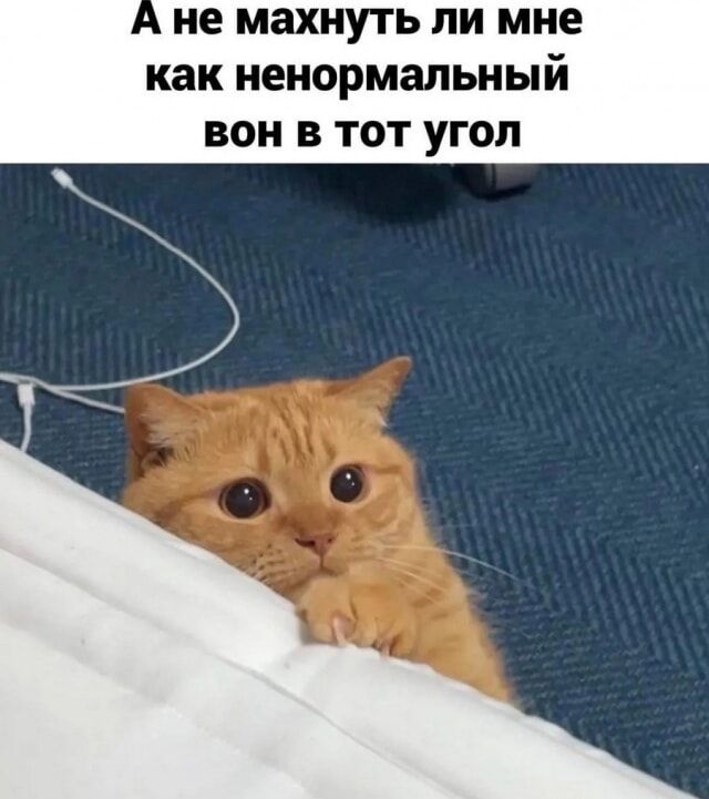 А не махнуть ли мне как ненормальный вон в тот угол