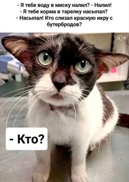 - Я тебе воду в миску налил? - Налил!  
- Я тебе корму в тарелку насыпал?  
- Насыпал! Кто слизал красную икру с бутербродов?  
- Кто?