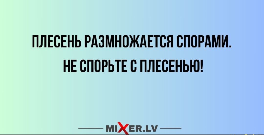 ПЛЕСЕНЬ РАЗМНОЖАЕТСЯ СПОРАМИ. НЕ СПОРЬТЕ С ПЛЕСЕНЬЮ!