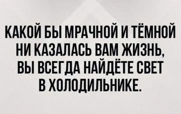 КАКОЙ БЫ МРАЧНОЙ И ТЁМНОЙ НИ КАЗАЛАСЬ ВАМ ЖИЗНЬ, ВЫ ВСЕГДА НАЙДЁТЕ СВЕТ В ХОЛОДИЛЬНИКЕ.