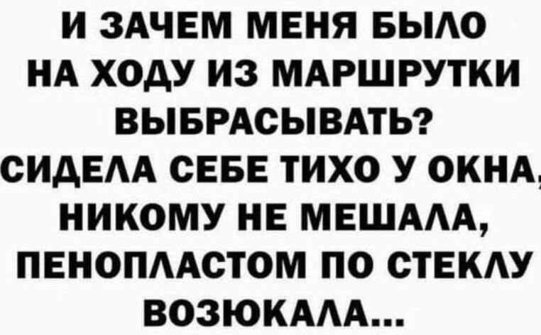 И ЗАЧЕМ МЕНЯ БЫЛО НА ХОДУ ИЗ МАРШРУТКИ ВЫБРАСЫВАТЬ? СИДЕЛА СЕБЕ ТИХО У ОКНА, НИКОМУ НЕ МЕШАЛА, ПЕНОПЛАСТОМ ПО СТЕКЛУ ВОЗЮКАЛА...