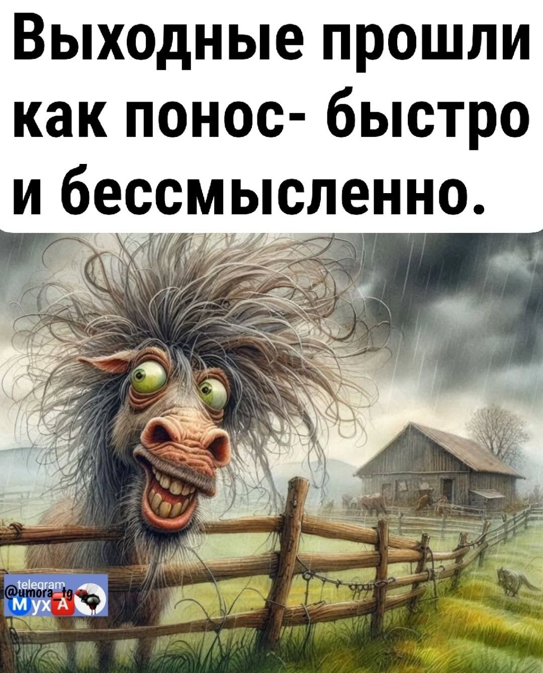 Выходные прошли как понос- быстро и бессмысленно.