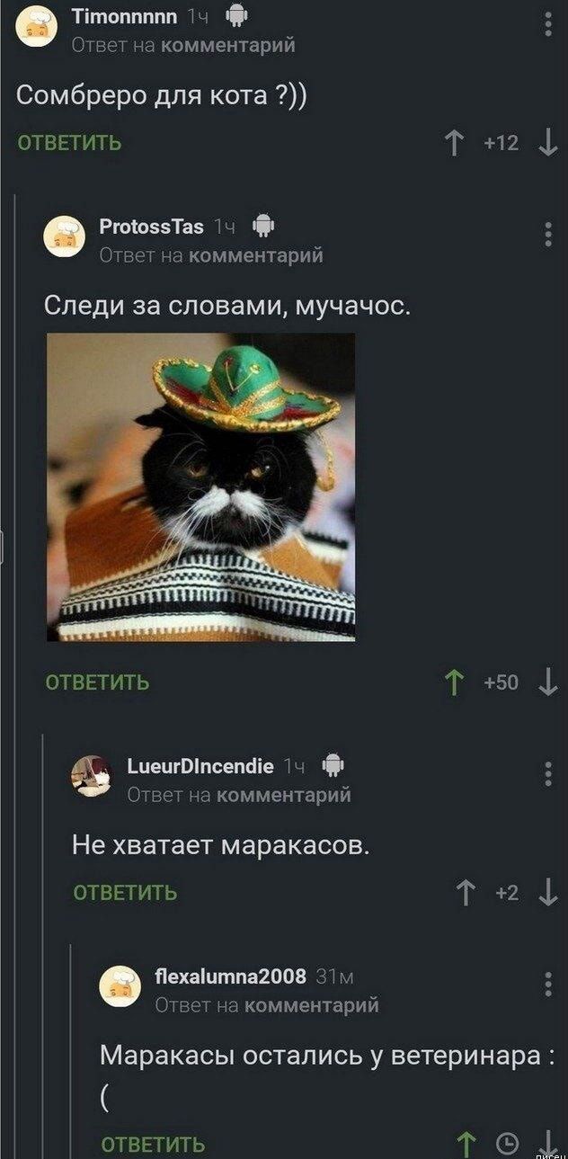 Сомбреро для кота ?)) Следи за словами, мучачос. Не хватает маракасов. Маракасы остались у ветеринара :(
