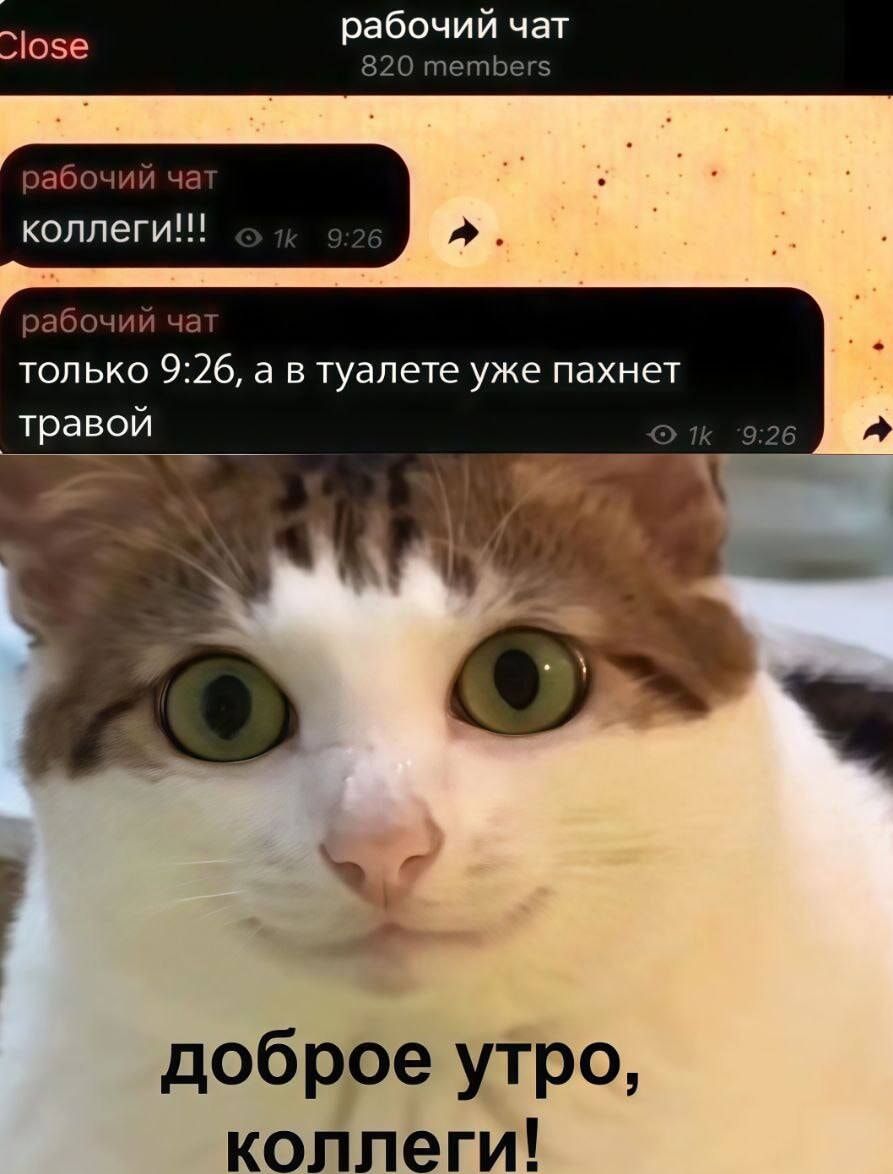 коллеги!!! только 9:26, а в туалете уже пахнет травой доброе утро, коллеги!