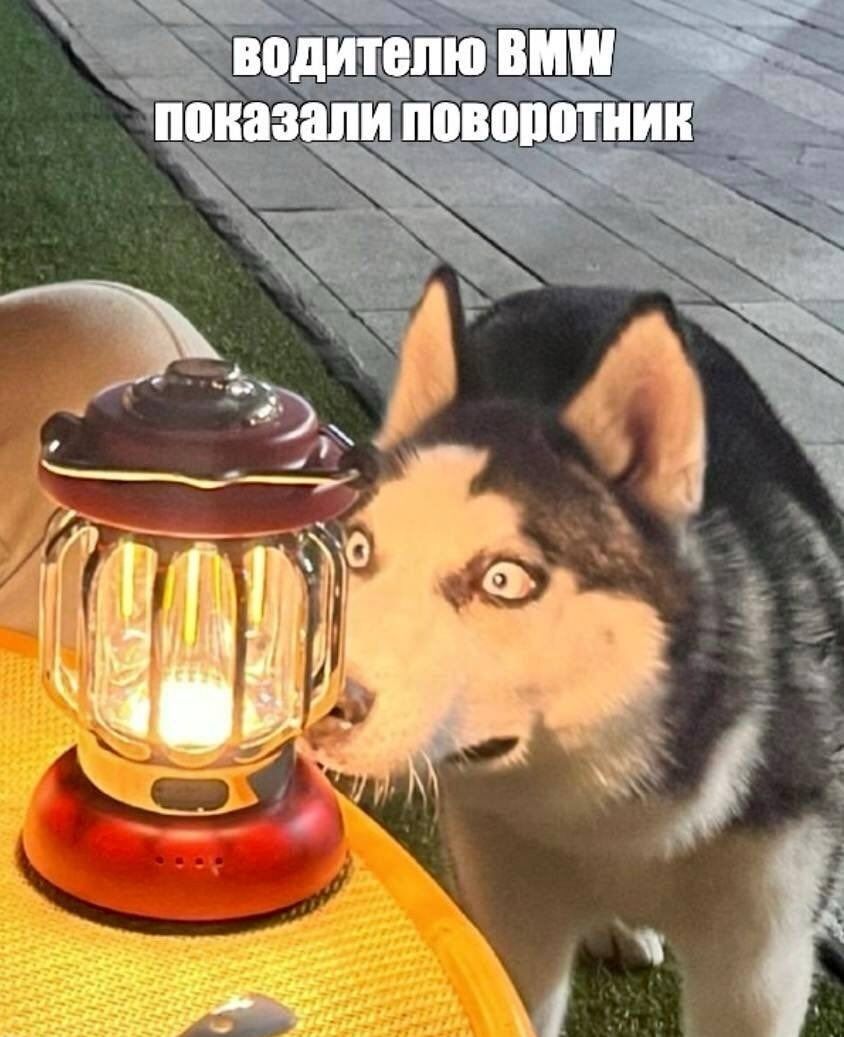 водителю BMW показали поворотник