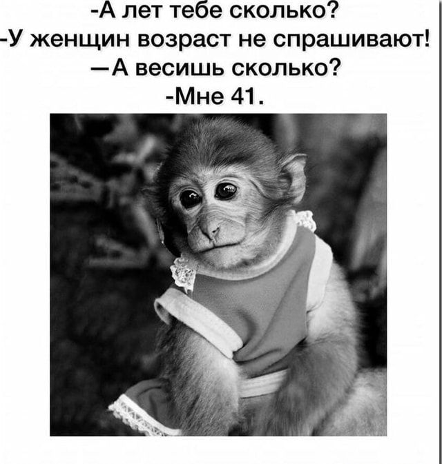- А лет тебе сколько?
- У женщин возраст не спрашивают!
- А весишь сколько?
- Мне 41.