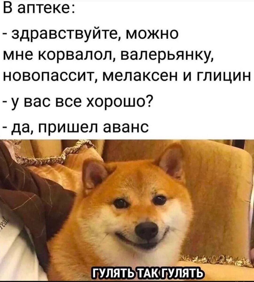 В аптеке:
- здравствуйте, можно мне корвалол, валерьянку, новопассит, мелаксен и глицин
- у вас все хорошо?
- да, пришел аванс
ГУЛЯТЬ ТАК ГУЛЯТЬ