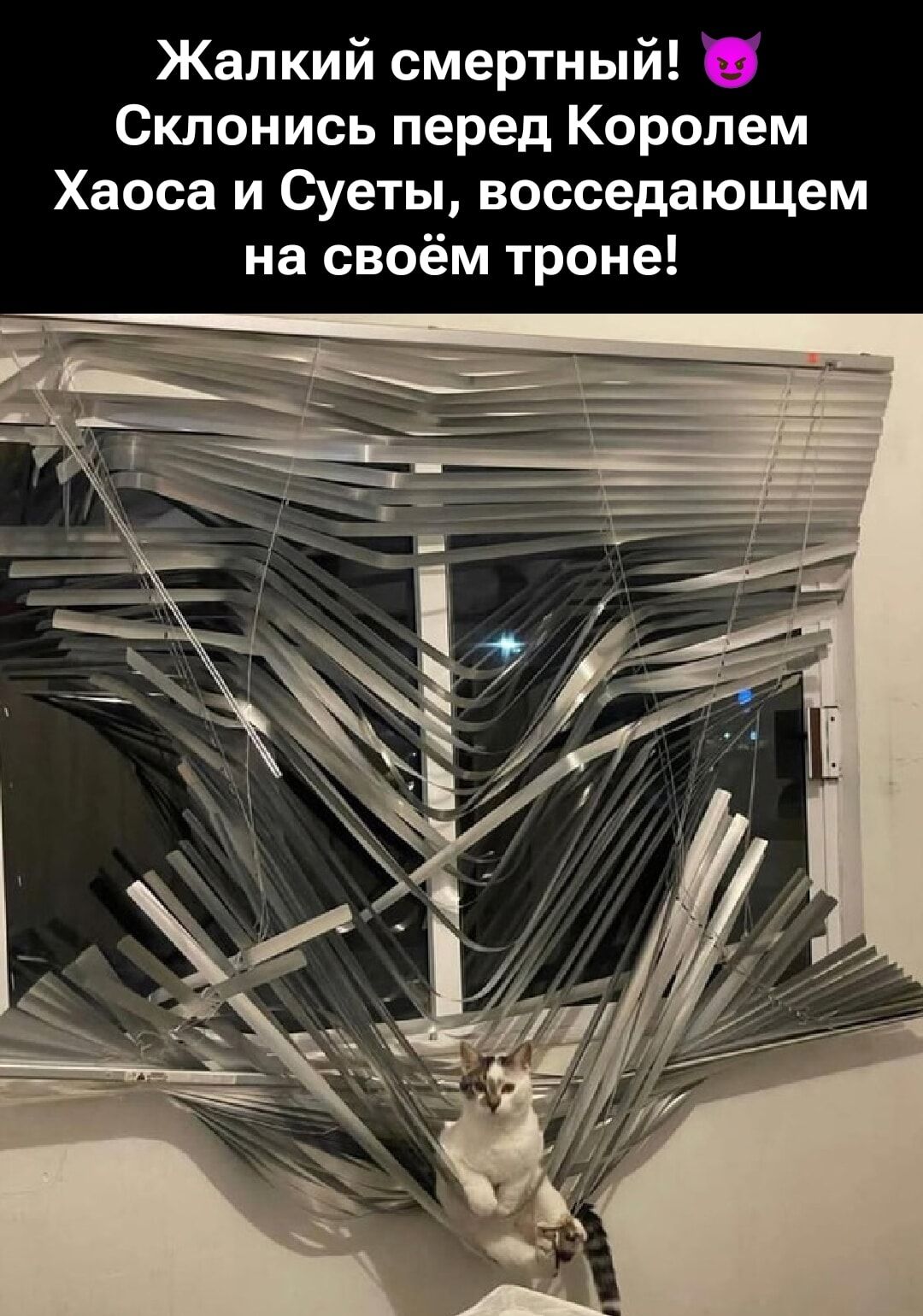 Жалкий смертный! 😈 Склонись перед Королем Хаоса и Суеты, восседающем на своём троне!