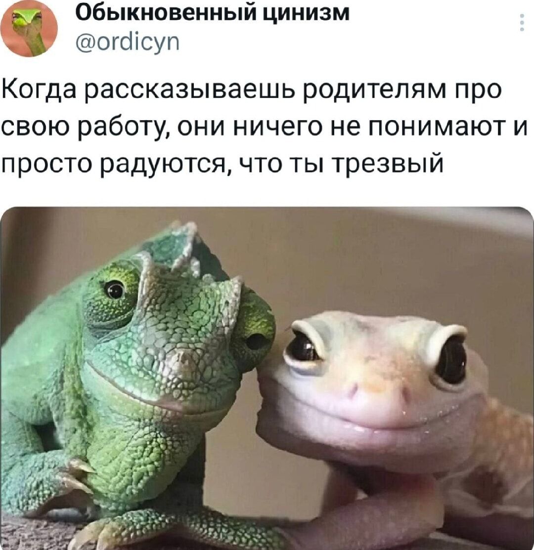 Когда рассказываешь родителям про свою работу, они ничего не понимают и просто радуются, что ты трезвый.