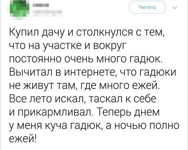 Купил дачу и столкнулся с тем, что на участке и вокруг постоянно очень много гадюк. Вычислил в интернете, что гадюки не живут там, где много ежей. Все лето искал, таскал к себе и прикармливал. Теперь днем у меня куча гадюк, а ночью полно ежей!