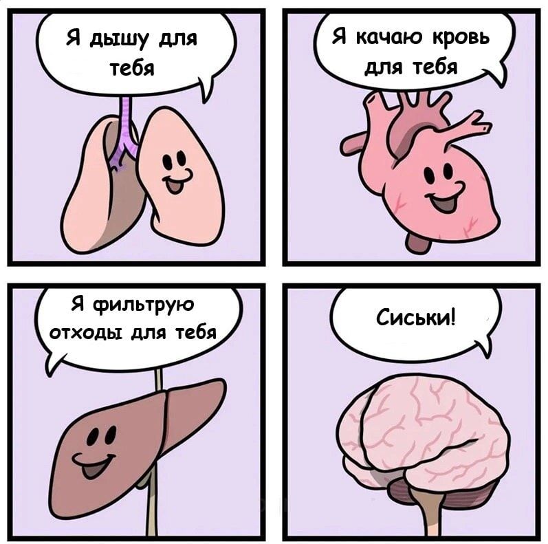 Я дышу для тебя
Я качаю кровь для тебя
Я фильтрую отходы для тебя
Сиськи!