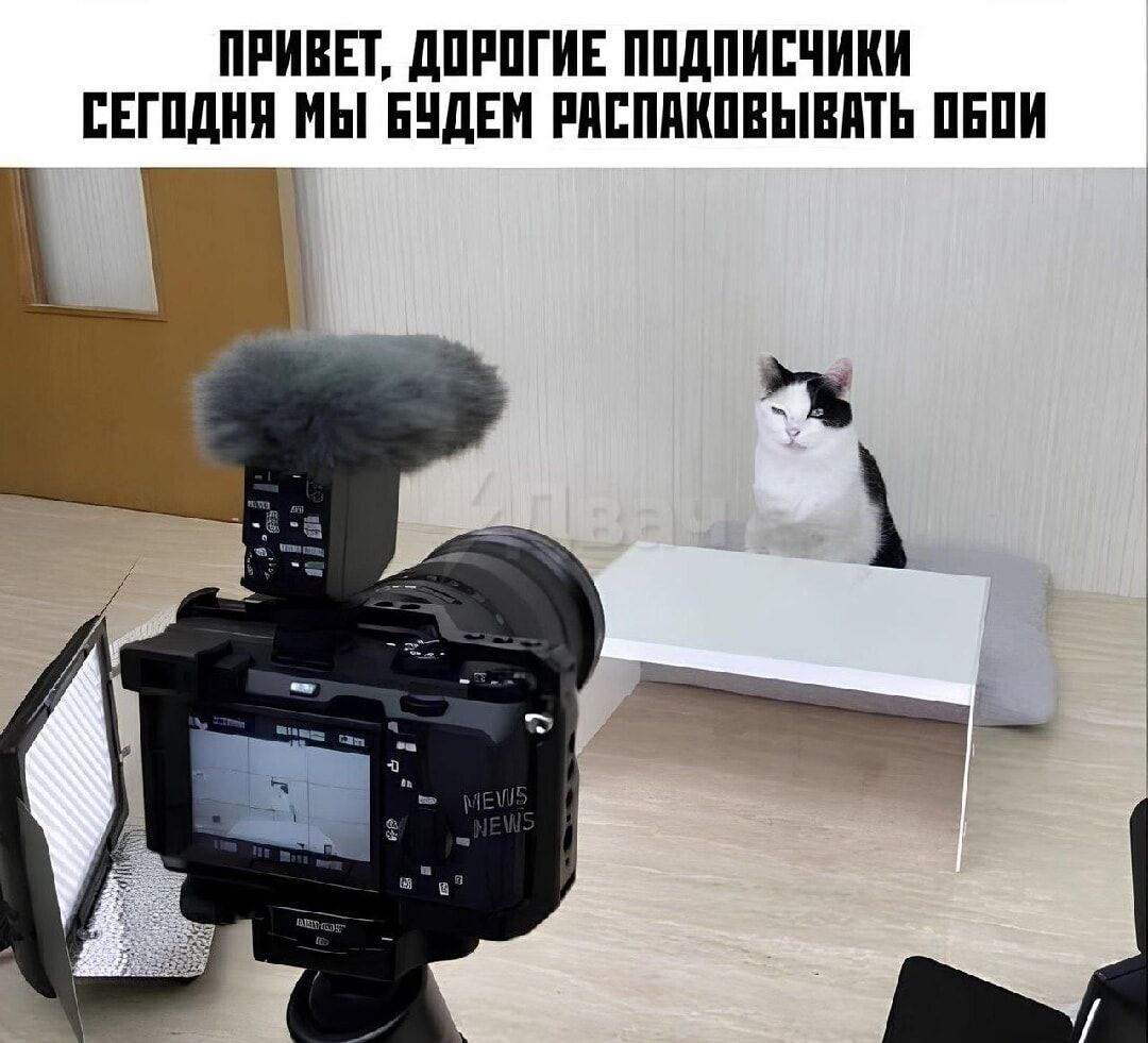 ПРИВЕТ, ДОРОГИЕ ПОДПИСЧИКИ СЕГОДНЯ МЫ БУДЕМ РАСПАКОВЫВАТЬ ОБОИ