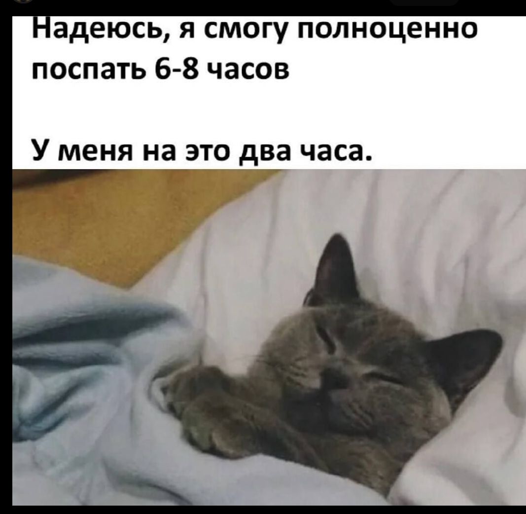 Надеюсь, я смогу полноценно поспать 6-8 часов
У меня на это два часа.