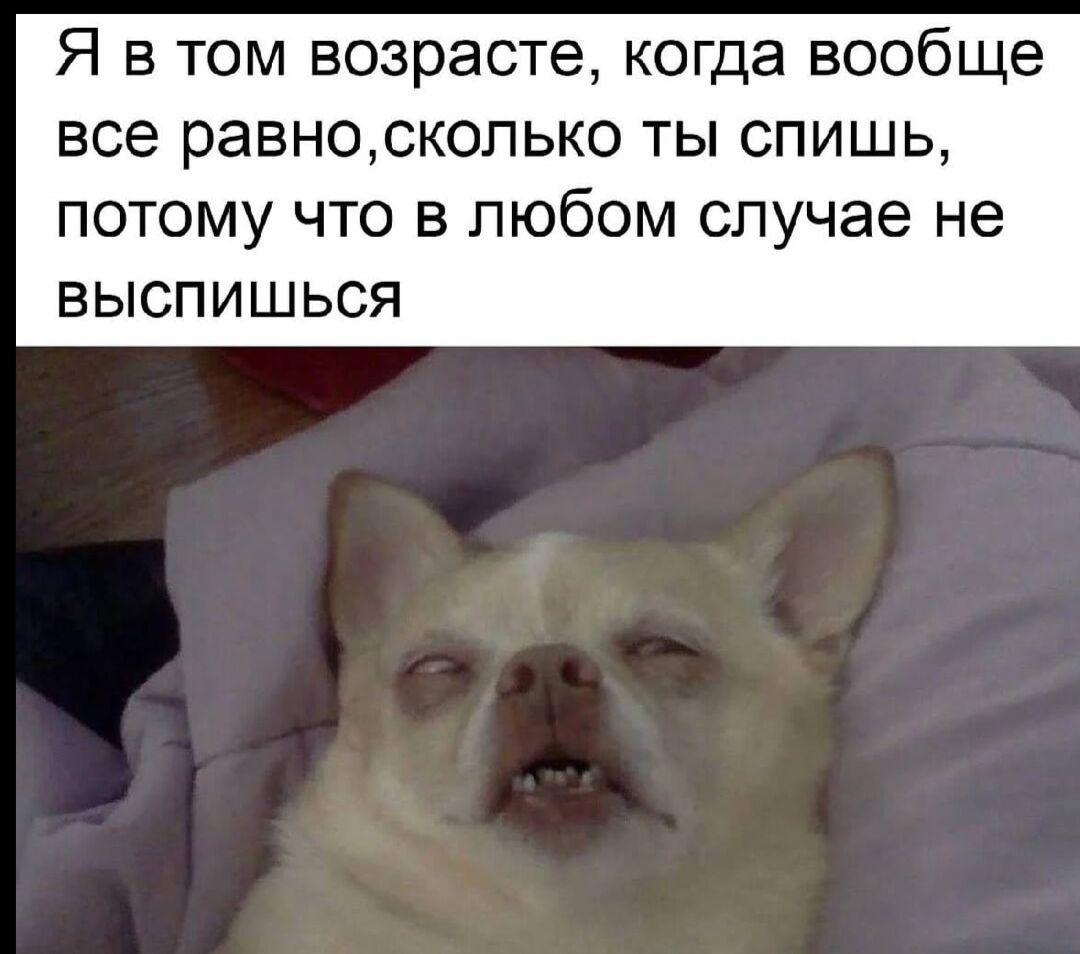 Я в том возрасте, когда вообще все равно, сколько ты спишь, потому что в любом случае не выспишься.