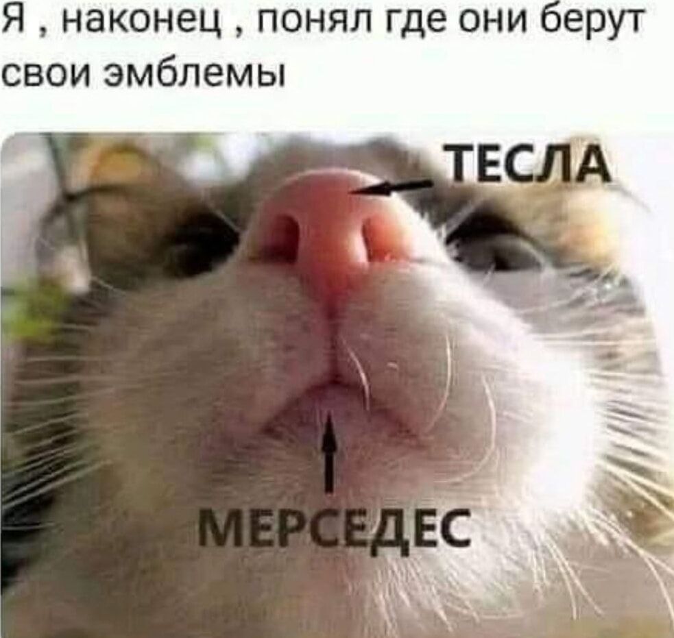 Я, наконец, понял где они берут свои эмблемы
ТЕСЛА
МЕРСЕДЕС