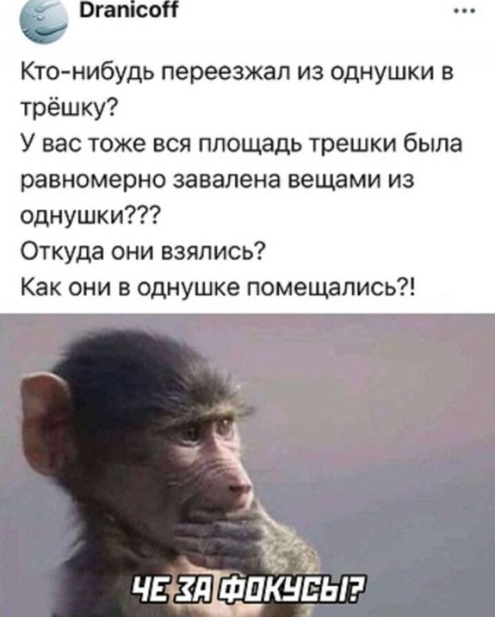 Кто-нибудь переезжал из однушки в трёшку? У вас тоже вся площадь трешки была равномерно завалена вещами из однушки??? Откуда они взялись? Как они в однушке поместились?! Че за фокусы?