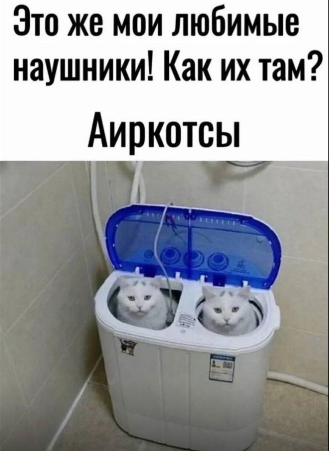 Это же мои любимые наушники! Как их там? Айркотсы