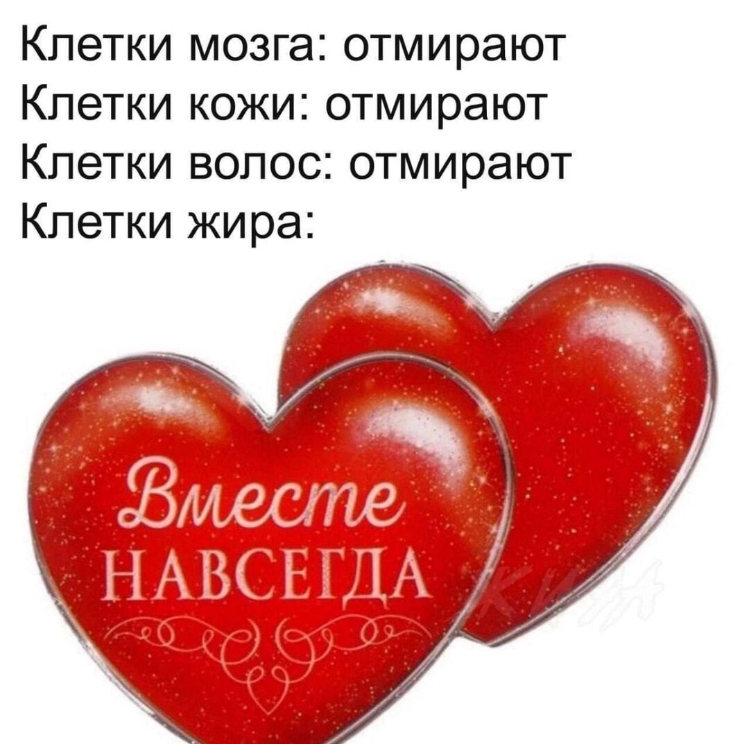 Клетки мозга: отмирают
Клетки кожи: отмирают
Клетки волос: отмирают
Клетки жира: