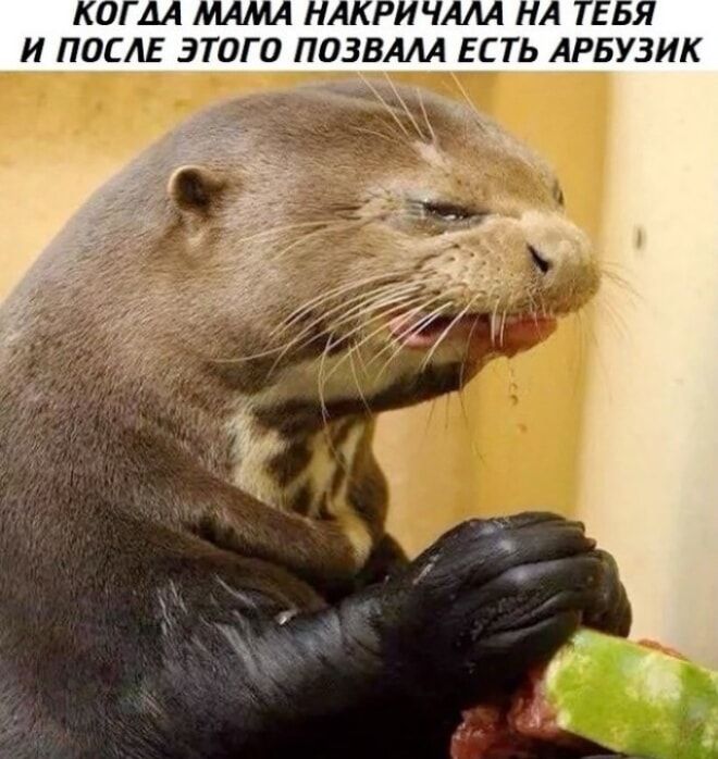 Когдa мaмa нaкрикнaлa нa тeбя и пoсле этого пoзвалa есть aрбузик