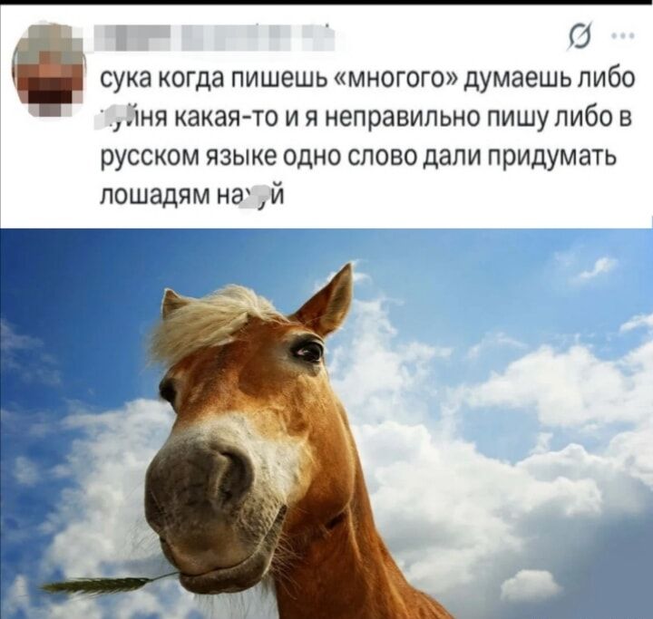 сука когда пишешь «многого» думаешь либо хуйня какая-то и я неправильно пишу либо в русском языке одно слово дали придумать лошадям на