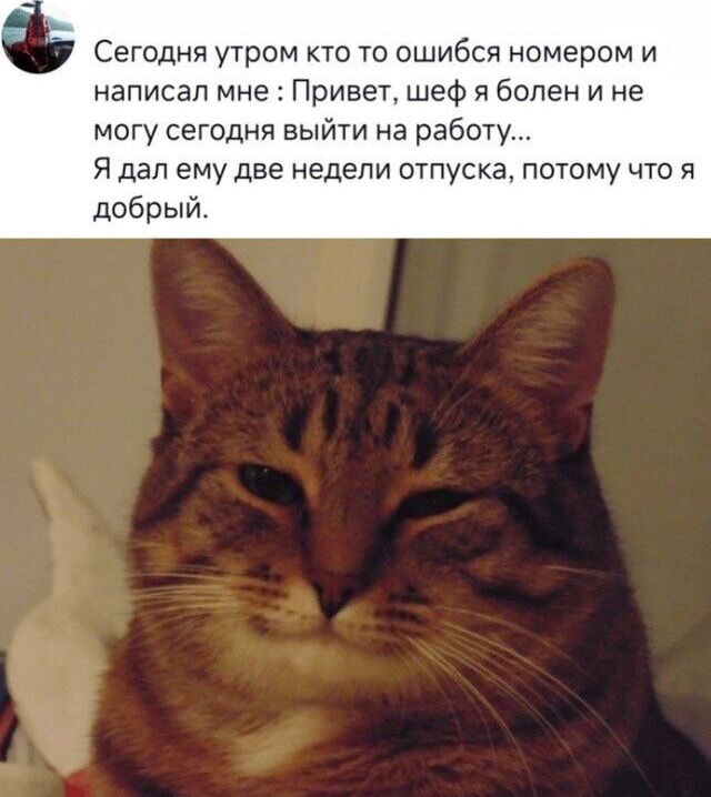 Сегодня утром кто то ошибся номером и написал мне : Привет, шеф я болен и не могу сегодня выйти на работу... Я дал ему две недели отпуска, потому что я добрый.