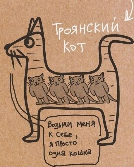 Троянский кот
Возьми меня к себе.
Я просто одна кошка.
