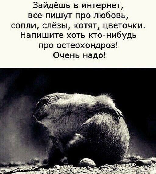 Зайдёшь в интернет, все пишут про любовь, сопли, слёзы, котят, цветочки. Напишите хоть кто-нибудь про остеохондроз! Очень надо!
