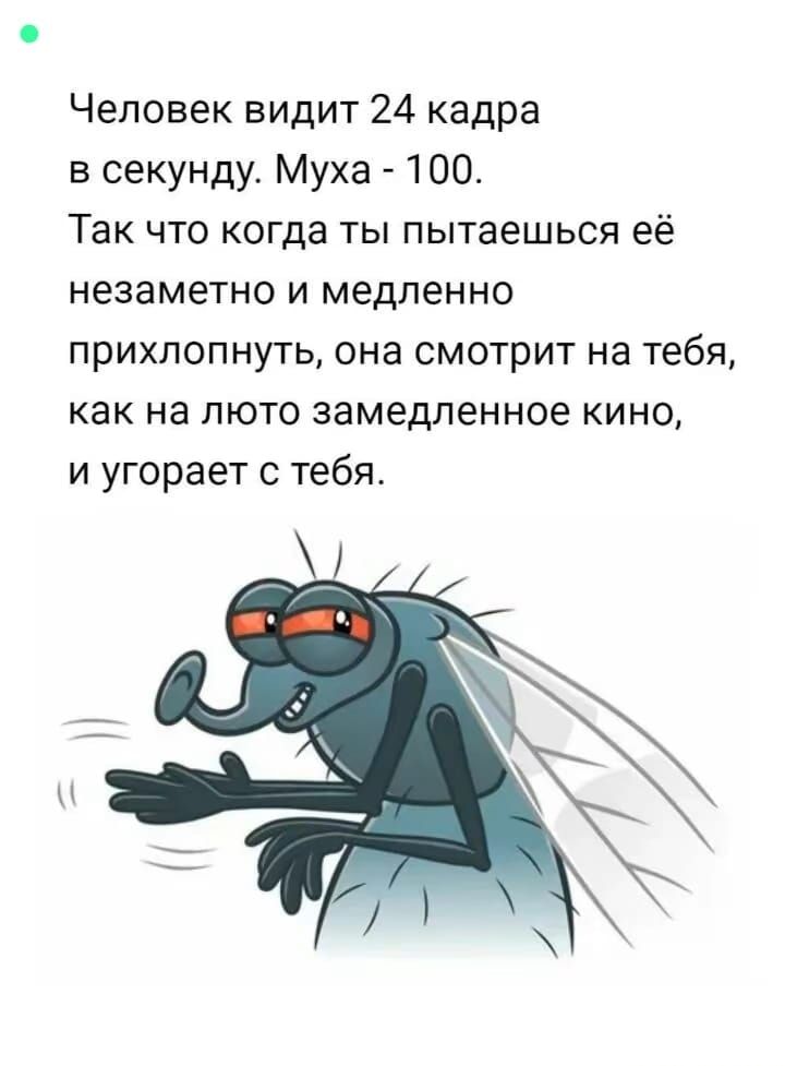 Человек видит 24 кадра в секунду. Муха - 100. Так что когда ты пытаешься её незаметно и медленно прихлопнуть, она смотрит на тебя, как на люто замедленное кино, и угорает с тебя.