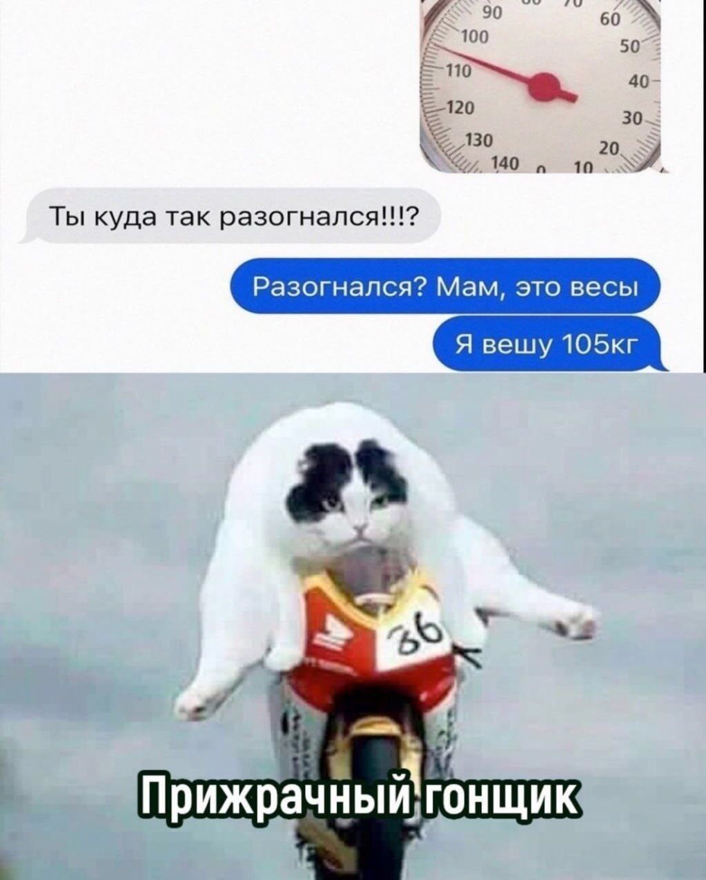 Ты куда так разогнался!!!?
Разогнался? Мам, это весы
Я вешу 105кг

Прижрачный гонщик