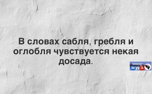 В словах сабля, гребля и оглобля чувствуется некая досада.