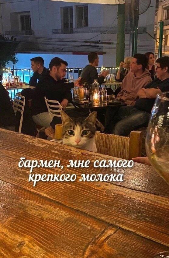 бармен, мне самого крепкого молока