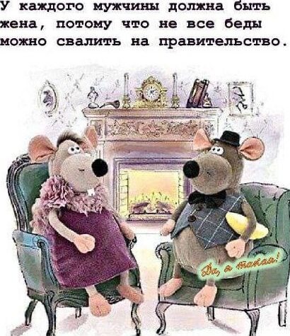 У каждого мужчины должна быть жена, потому что не все беды можно свалить на правительство.