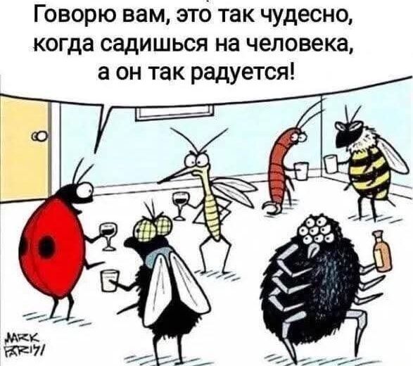Говорю вам, это так чудесно, когда садишься на человека, а он так радуется!