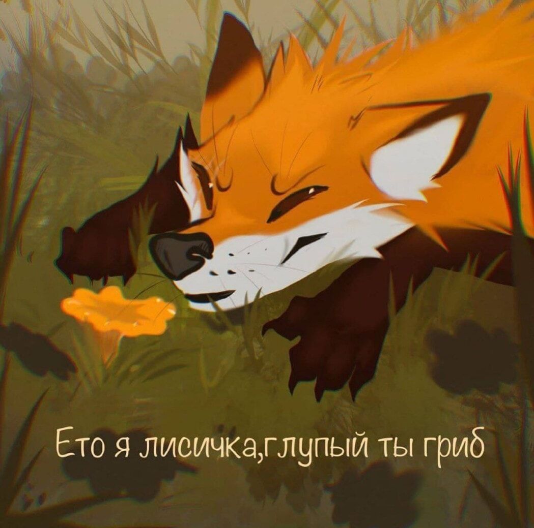 Ето я лисичка, глупый ты гриб.