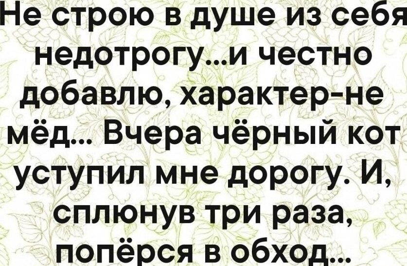 Не строю в душе из себя недотрогу...и честно добавлю, характер–не мёд... Вчера чёрный кот уступил мне дорогу. И, сплянув три раза, попёрся в обход...