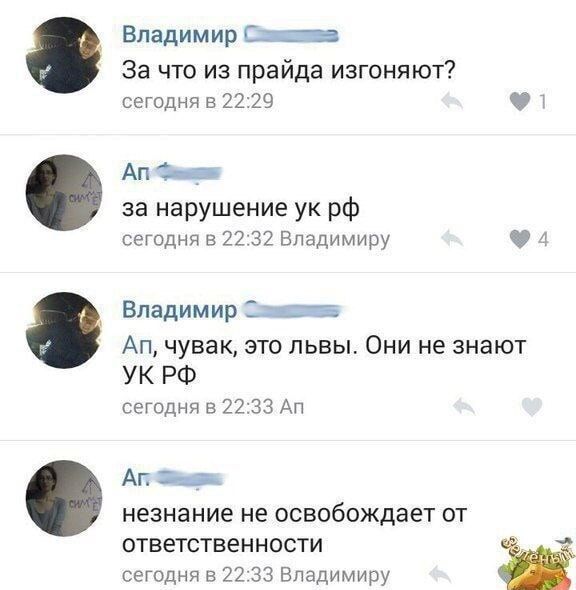 За что из прайда изгоняют? за нарушение ук рф чувак, это львы. Они не знают УК РФ незнание не освобождает от ответственности