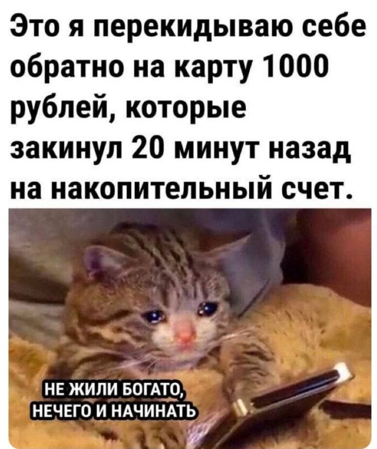 Барсик, открой глаза, а то все думают, что ты - моя тень...\nСпасибо Барсик