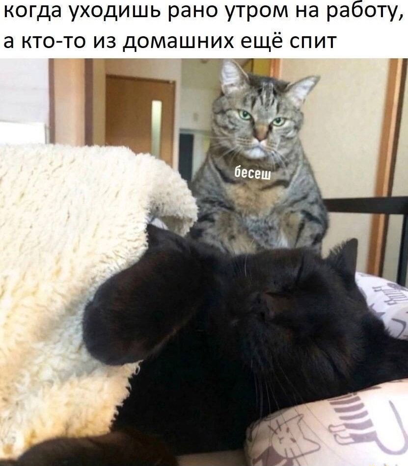 когда уходишь рано утром на работу, а кто-то из домашних ещё спит